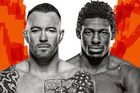 UFC 완벽가이드 경기일정 주요인물 인기이유