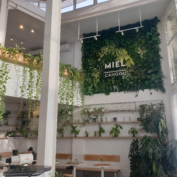 미엘 커피 짱구(MIEL Coffee Canggu): 발리 짱구(Bali Canggu) 지역 카페 ②_카페 내부