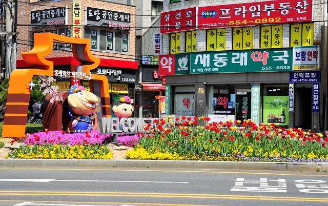 부활을 상징하는 튤립이 가득한 동래의 거리