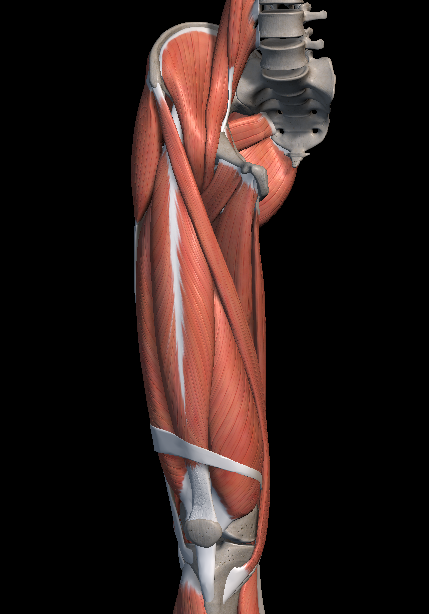 햄스트링 스트레칭 방법