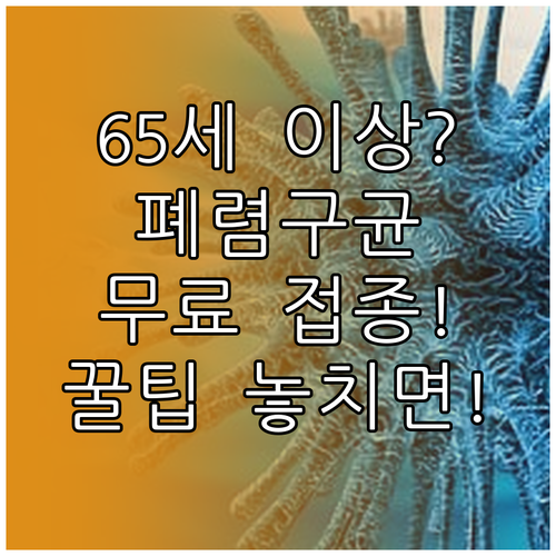 만 65세 이상 폐렴구균 무료 접종 ..