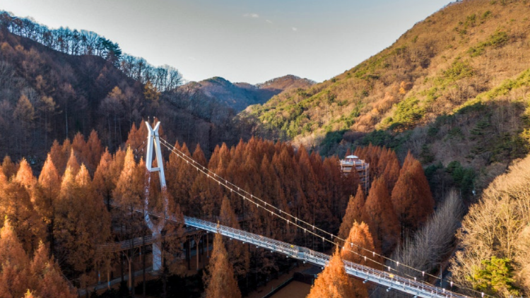 장태산 자연휴양림