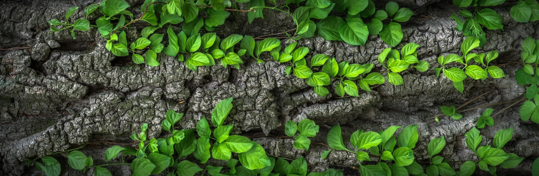 봄방학 알바 추천직업 (학생알바, 단기알바, 인기알바) 관련 사진
