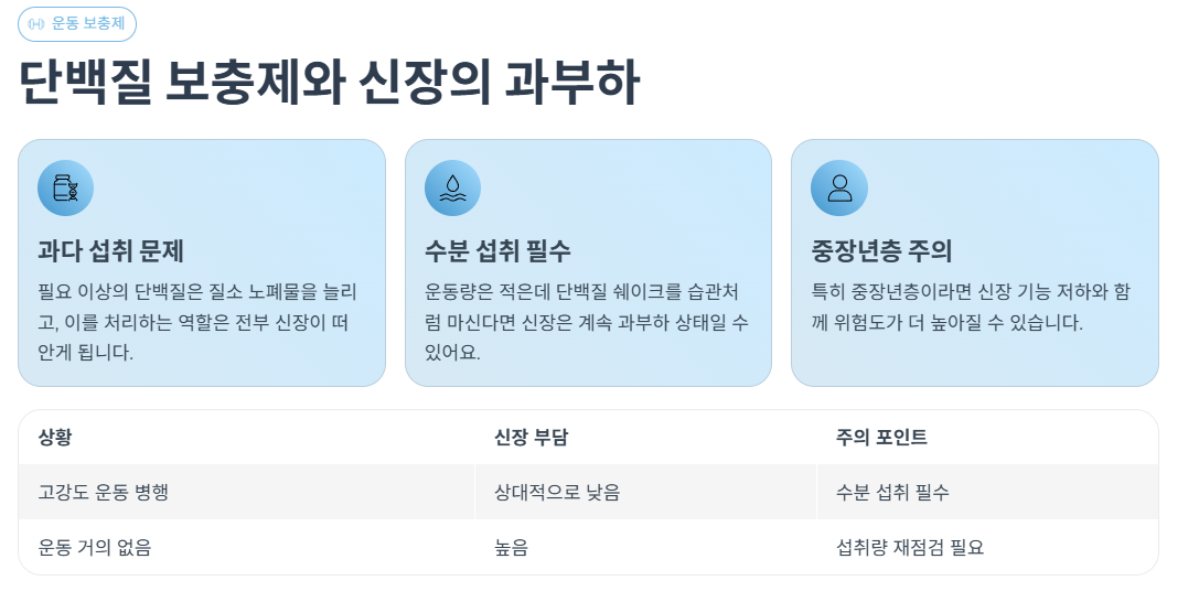 단백질 보충제와 신장의 과부하