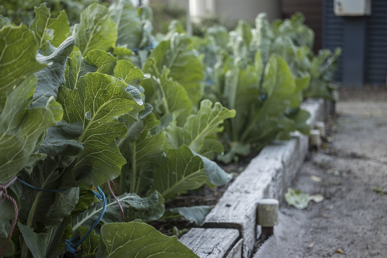가드닝_관련_사진