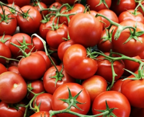 토마토 익혀 먹으면 좋은 이유