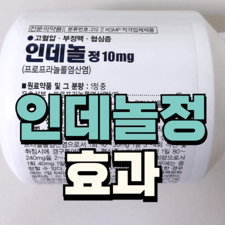 인데놀정 정보