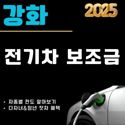 썸네일_2025년 강화 전기차 보조금 신청 가이드 (테슬라 모델3, 아이오닉9, EV9)