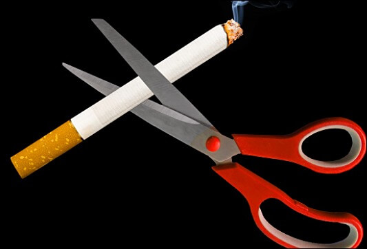 요산수치 낮추는 음식 9