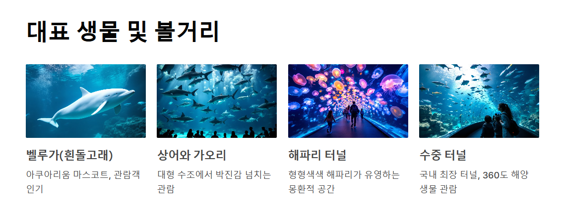 롯데월드 아쿠아리움 시간 및 가격 총정리