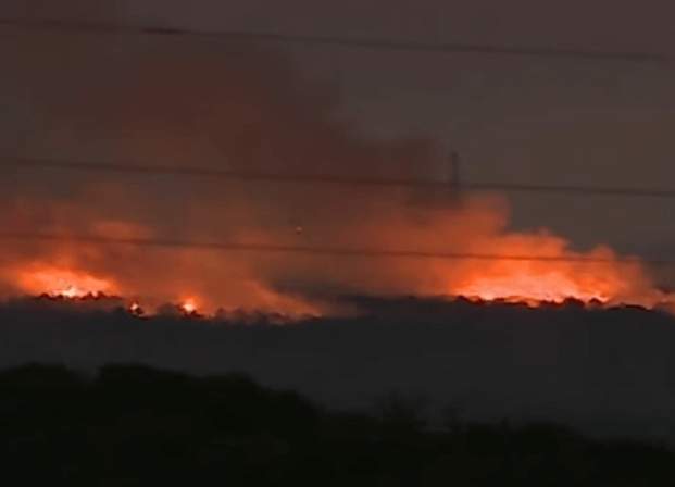 이스라엘 시리아