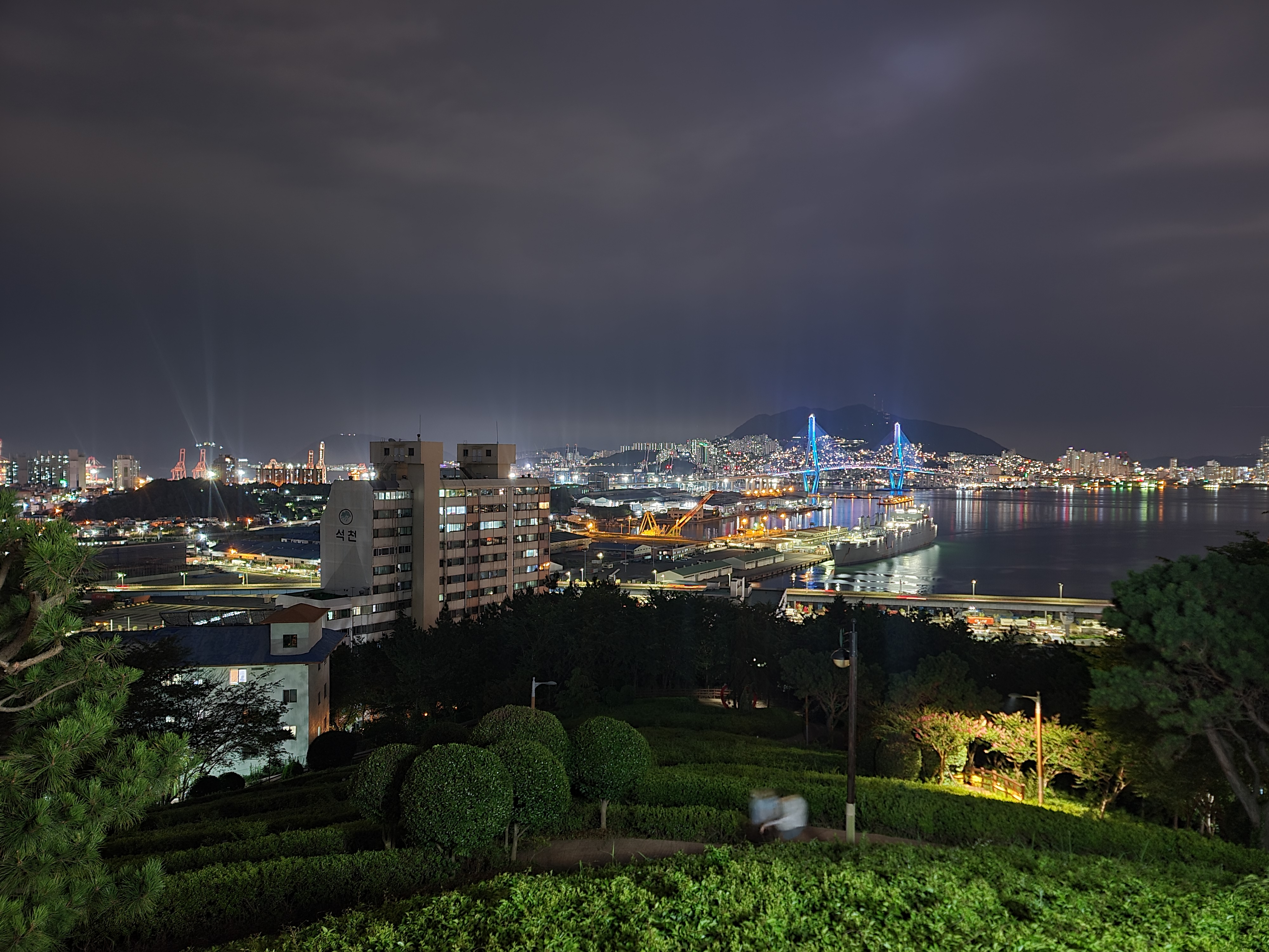 우암동 도시숲에서 내려다보는 야경 사진입니다.