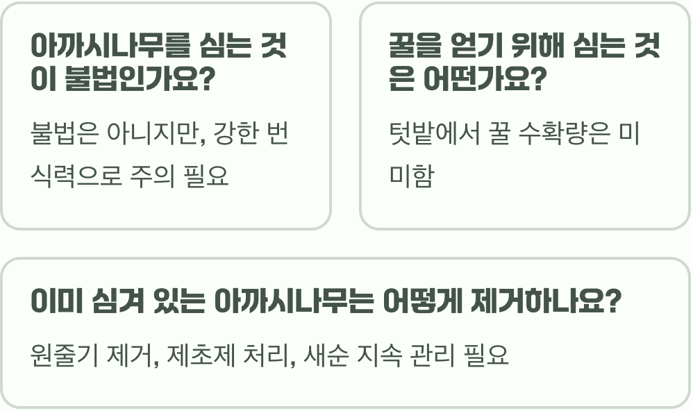 초보 텃밭러도 성공! 실패 없는 아까시나무 키우기 (모종 선택부터 관리까지 A to Z)