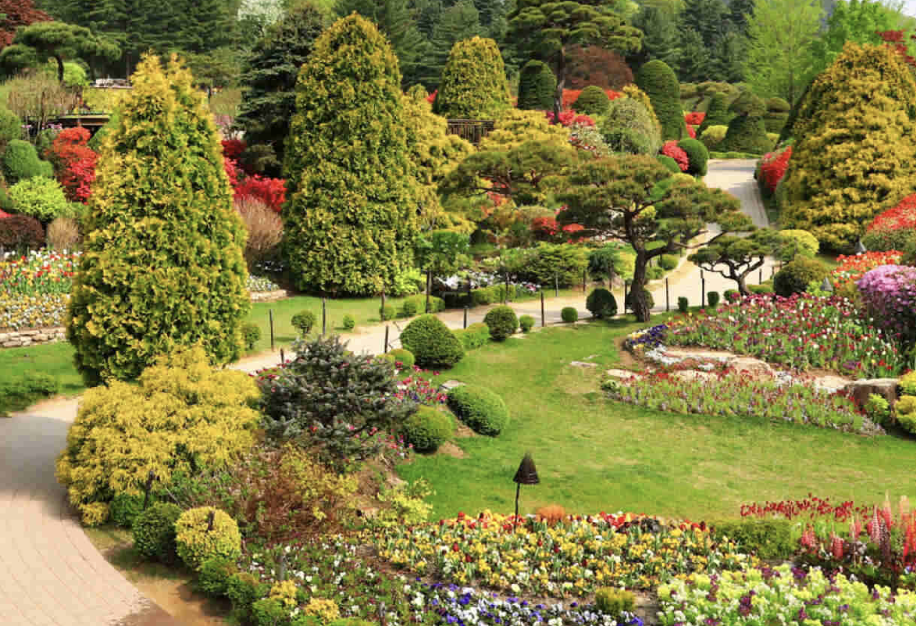 2025 봄꽃 페스타, 봄꽃 페스타 기존정보