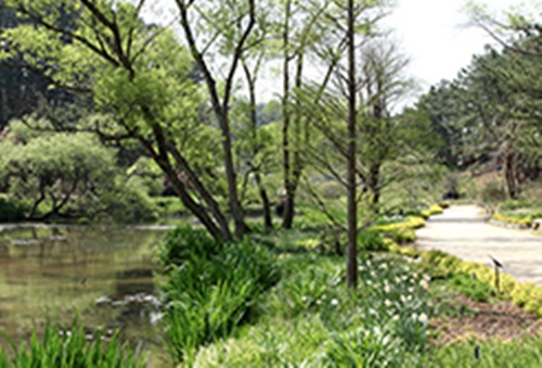 태안 가볼만한곳