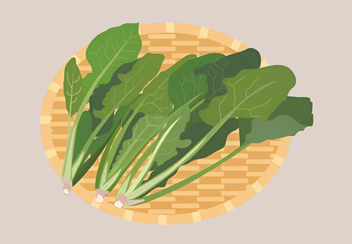 신선한-시금치-모습