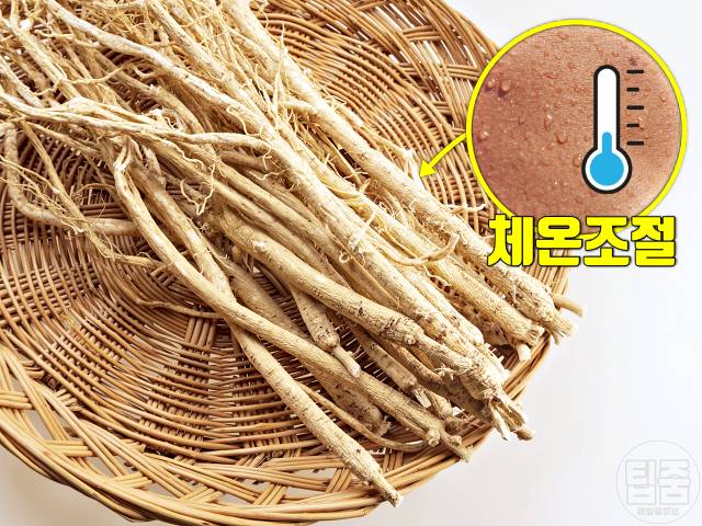 땀에 좋은 음식 땀흘리는데 좋은음식 황기