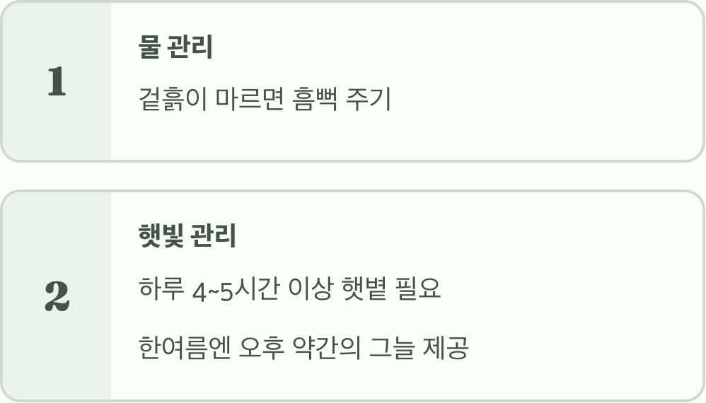 물과 햇빛, 이것만 기억하세요