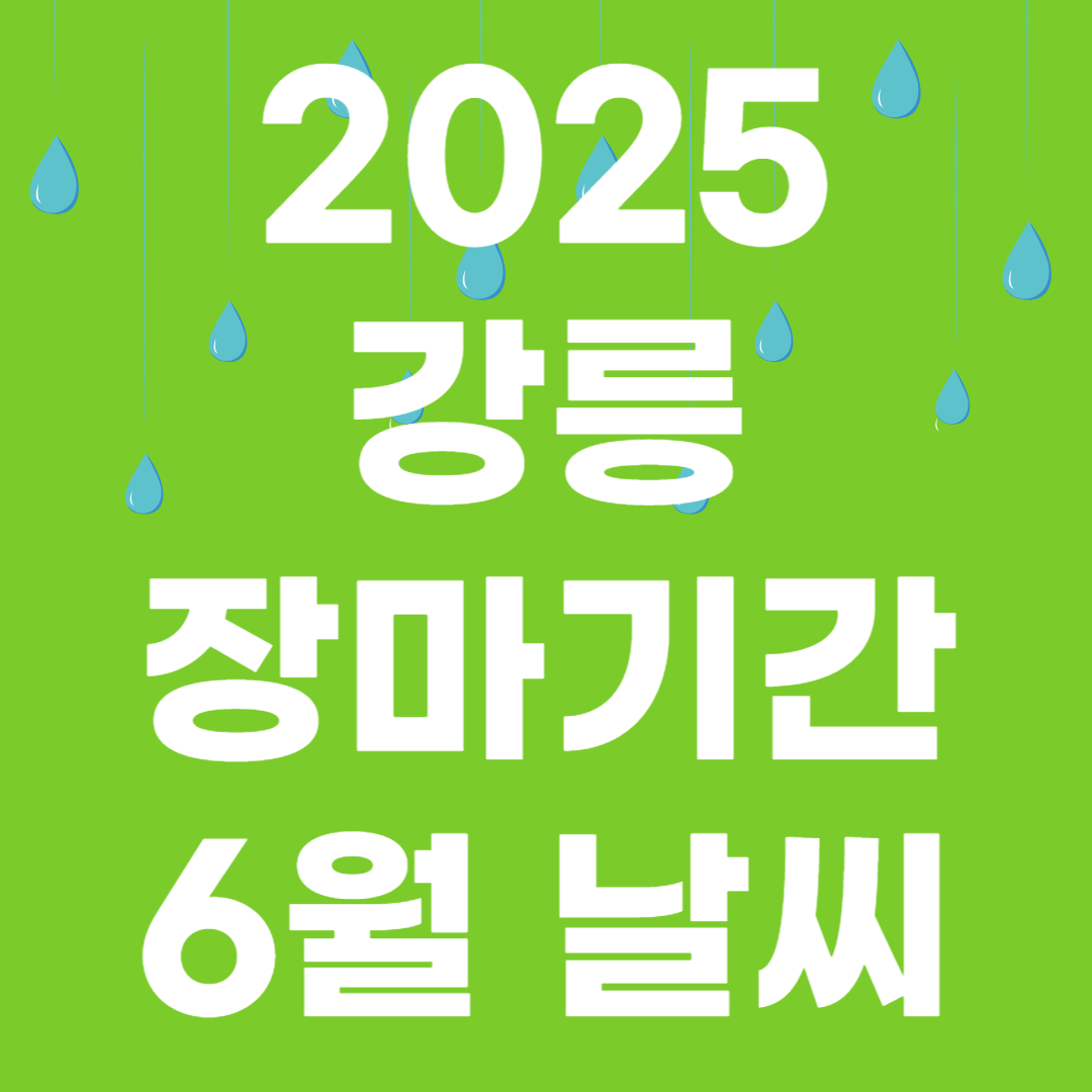 2025년 강릉 장마기간 장마시기 안내