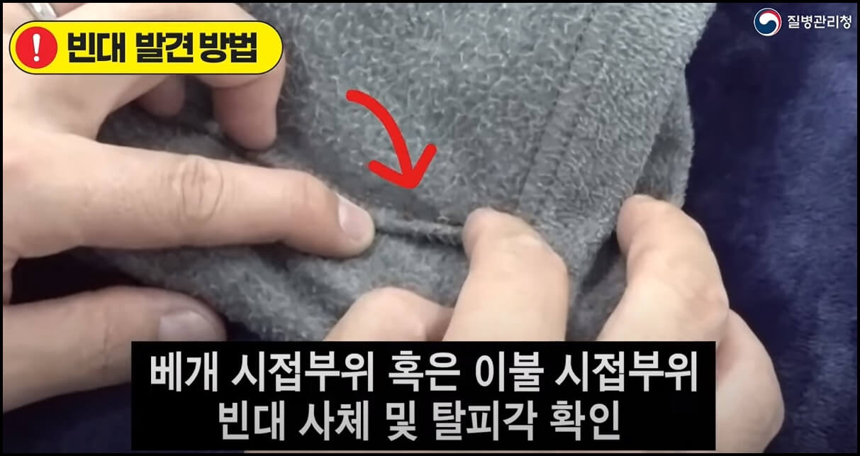 매트리스 이음새와 시접부위에서 잘 발견되는 빈대