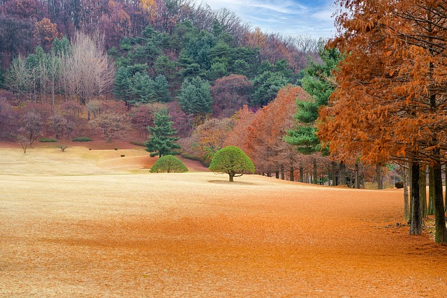 청주여행