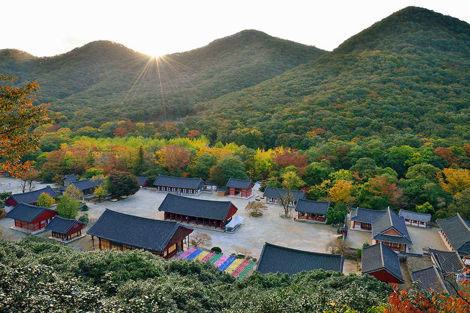 소원 성취 기도발 좋은 전라도 사찰 선운사