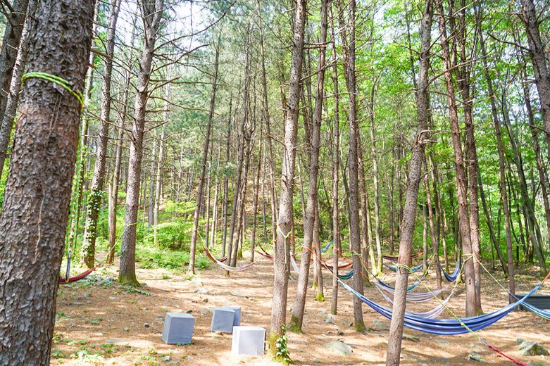 큰삼촌농촌체험