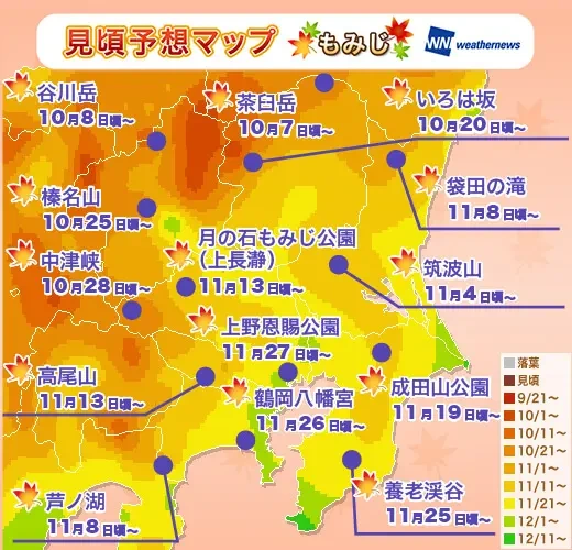 관동