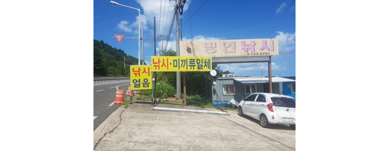 영덕군 낚시용품