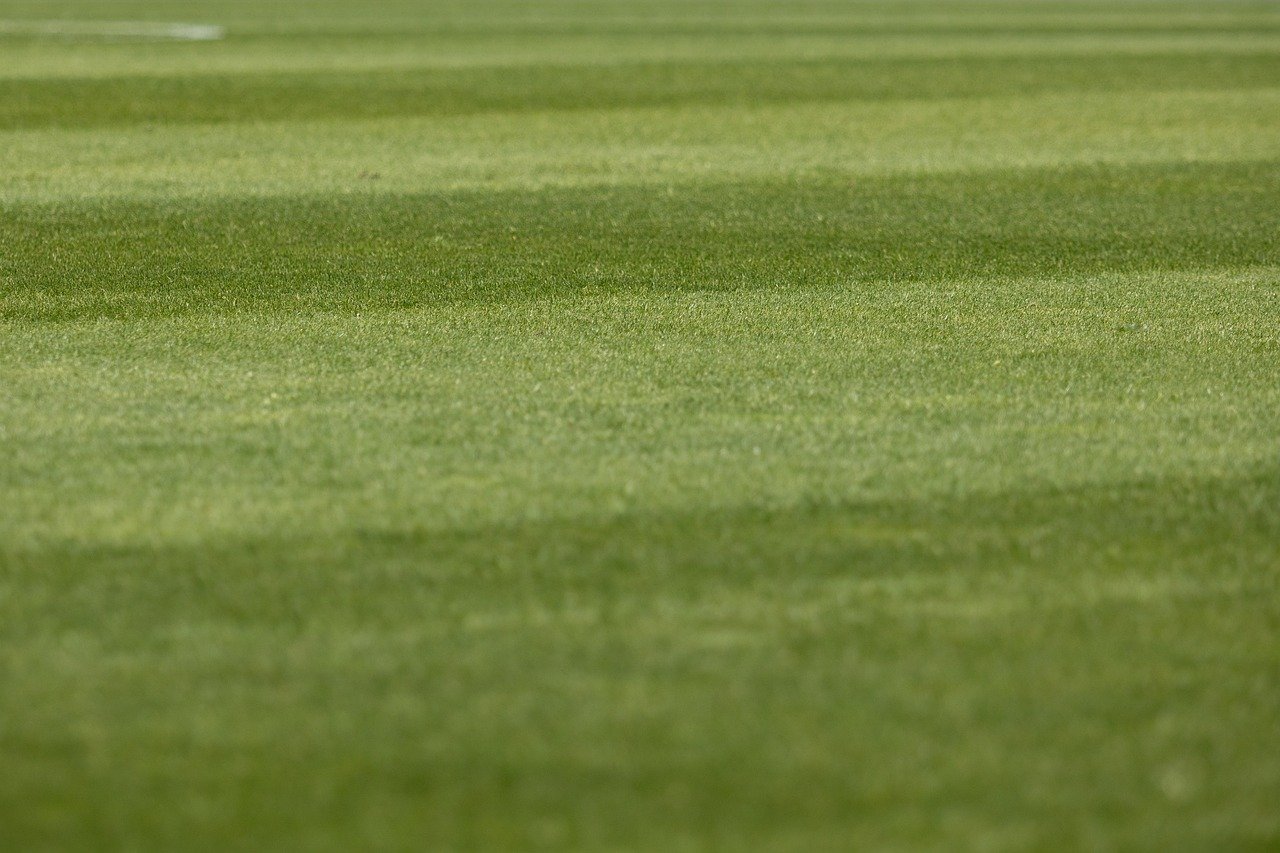 축구장 잔디 이미지