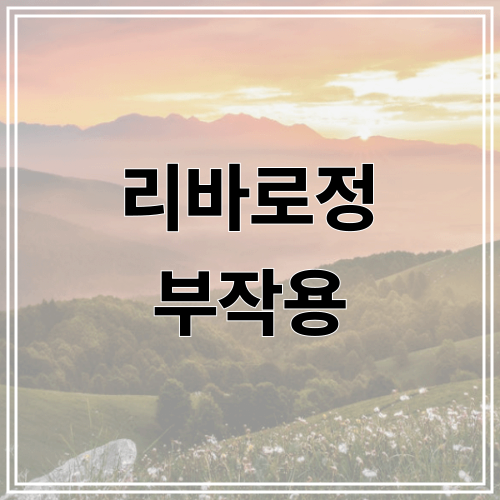 리바로정 부작용