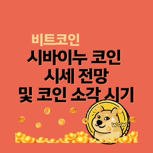 시바이누 코인 전망