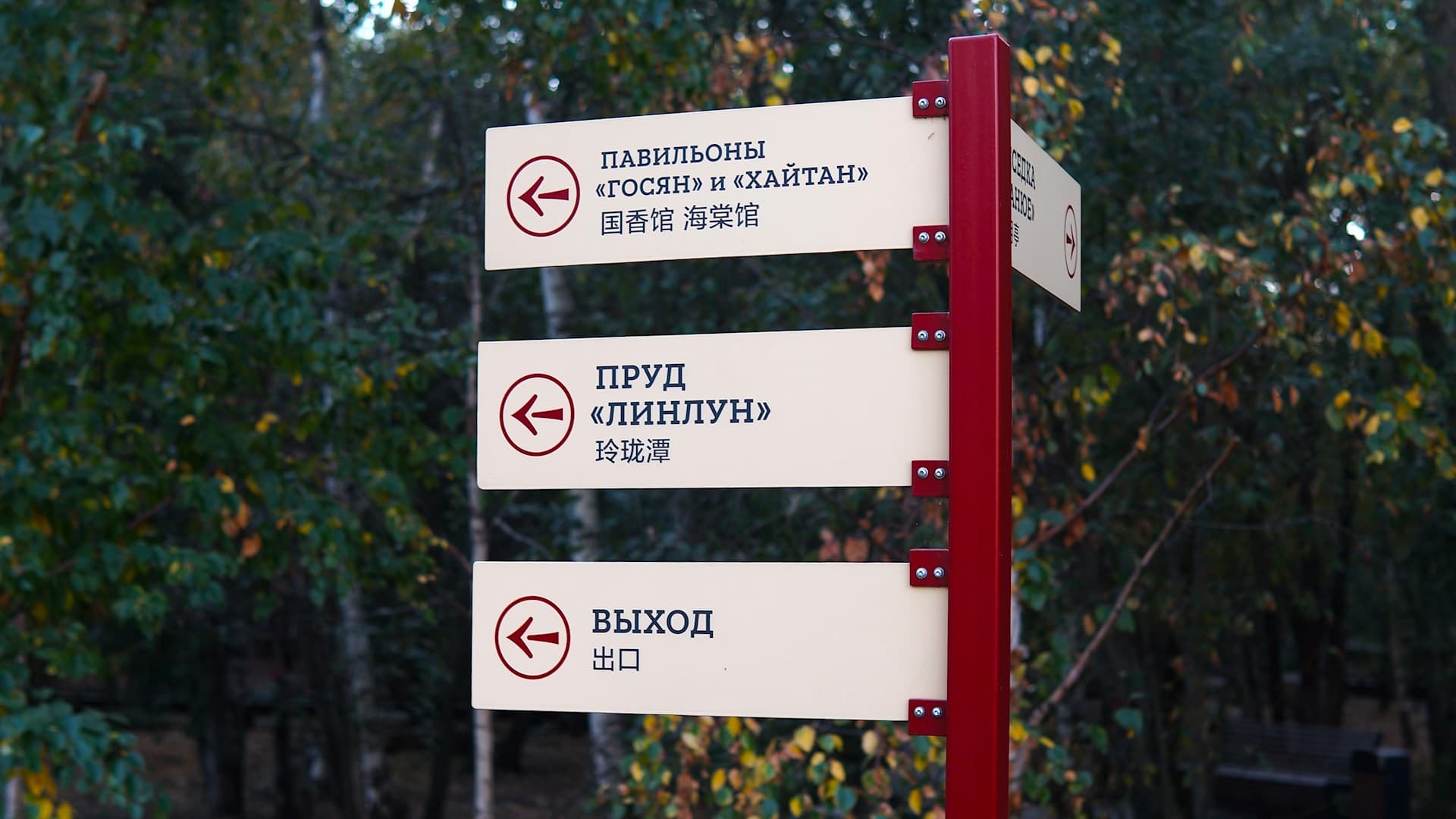 복지로 vs 정부24, 어디서 신청해야 할까? 차이점 총정리!