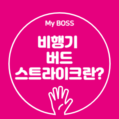 비행기 버드스트라이크란?