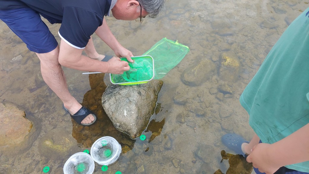 인제 구만동 계곡에서 잡은 다슬기와 채집 도구