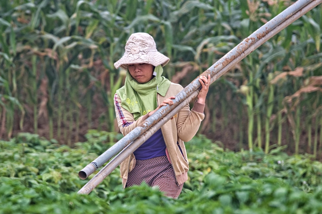 Livelihood