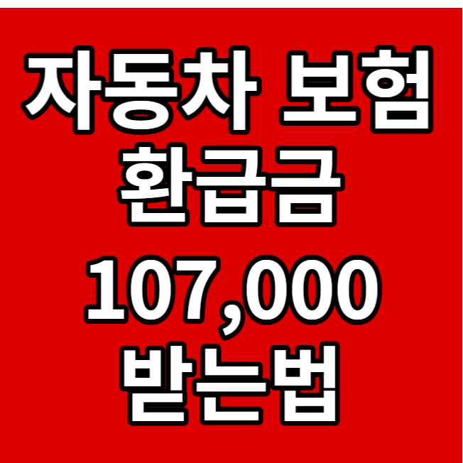 자동차 보험 환급