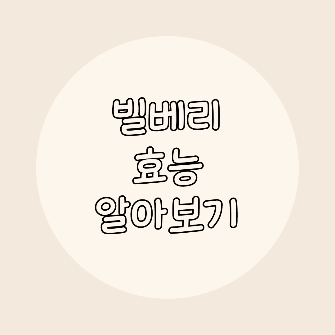 빌베리
