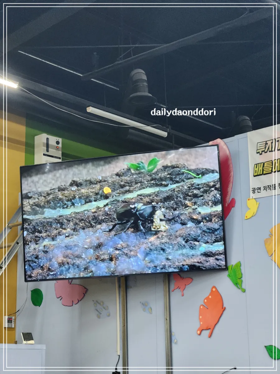 장수풍뎅이-모니터-모습