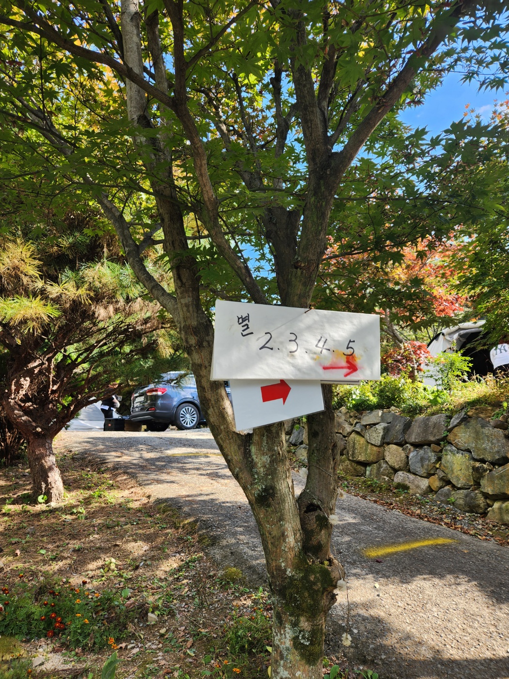 밀양 은하수캠핑 관광농원