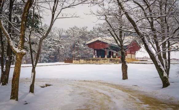 하얗게 눈이 내린 구리 동구릉의 고요하고 장엄한 겨울 전경. 비운의 임금 경종의 첫 번째 부인인 단의왕후가 잠든 혜릉이 위치한 곳으로, 조선 왕실의 비극적인 역사와 적막함이 느껴지는 풍경