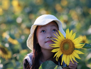 2025 마비노기 모바일 직업 티어표