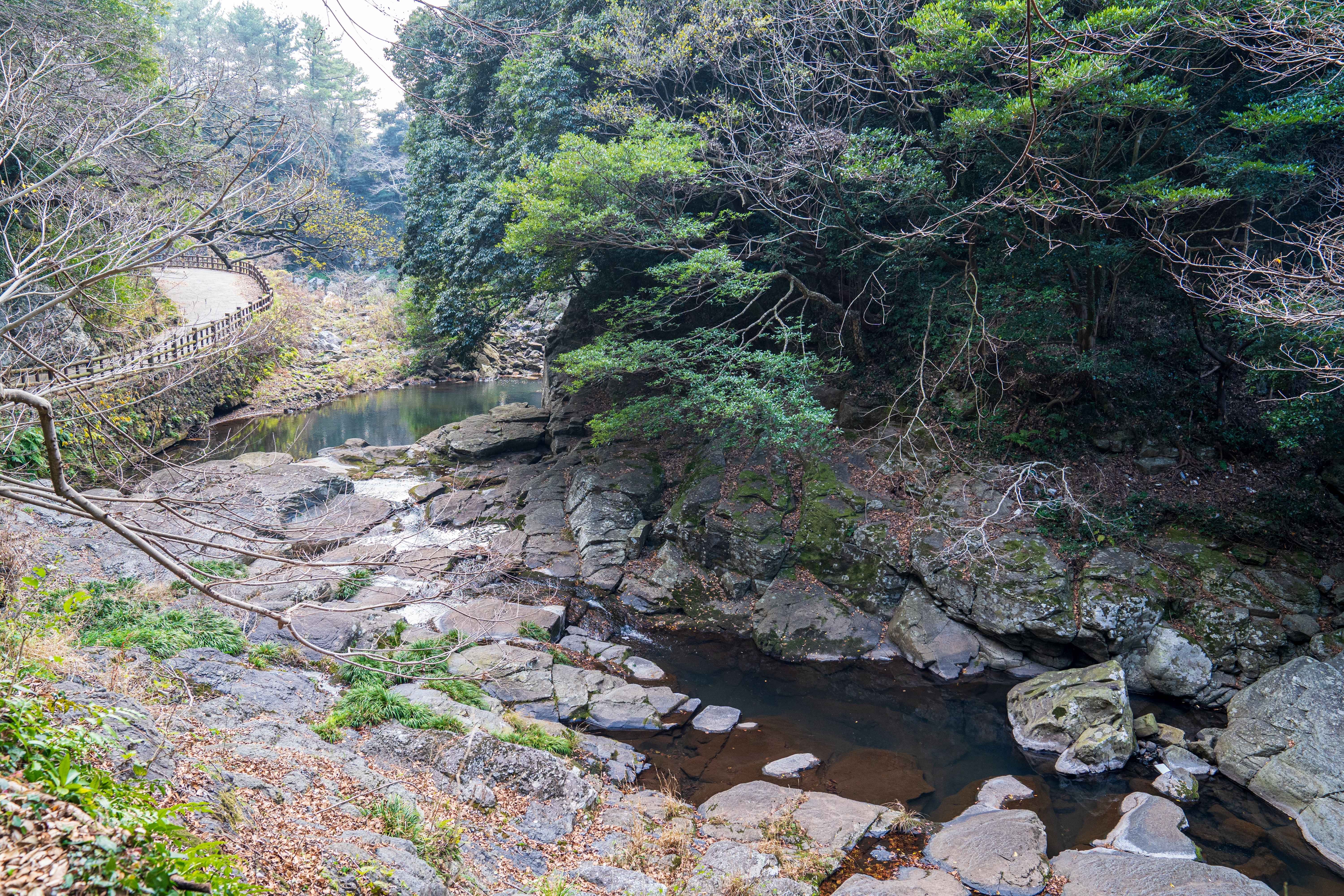 제주도 안덕계곡 사진