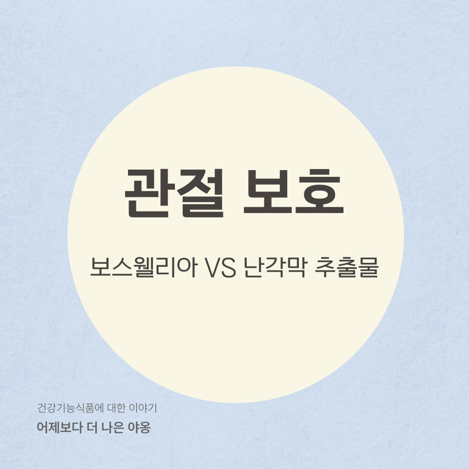 관절 보호에 도움을 줄 수 있는 보스웰리아, 난각막 추출물