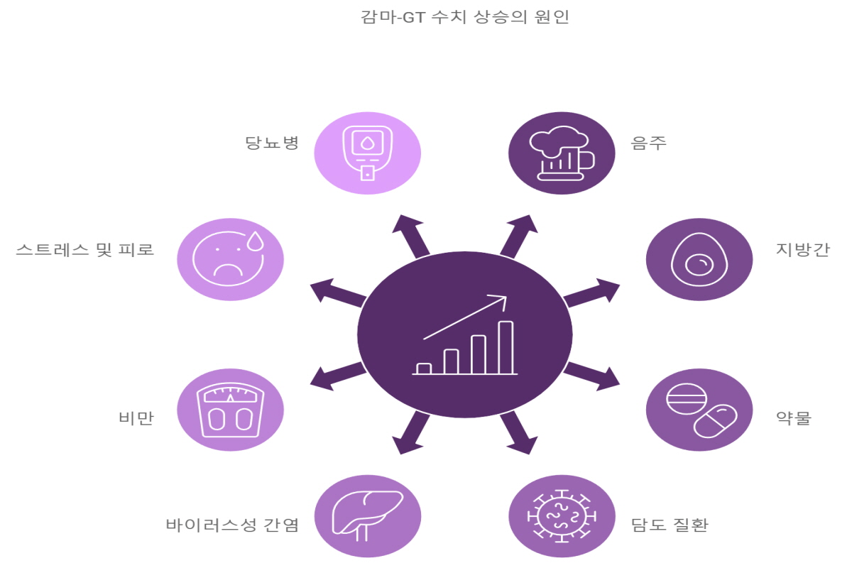 감마지티피 높으면