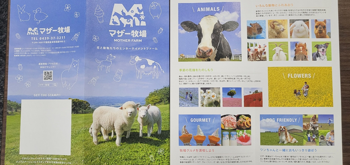 마더목장의 팜플렛