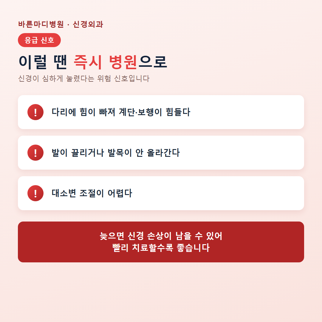 허리디스크 설명 이미지