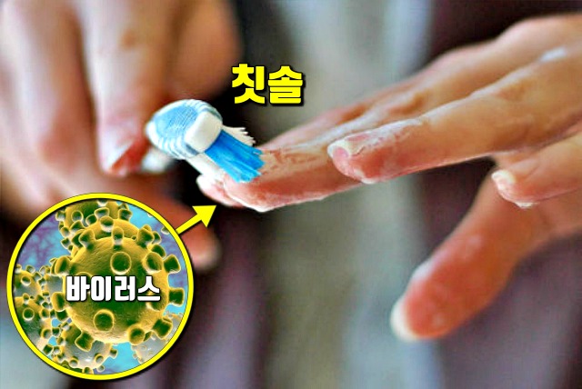 세균 많은 곳 신체부위,손톱밑