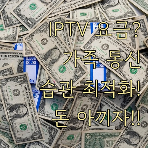 IPTV 월 요금 대신 가족 통신 습..