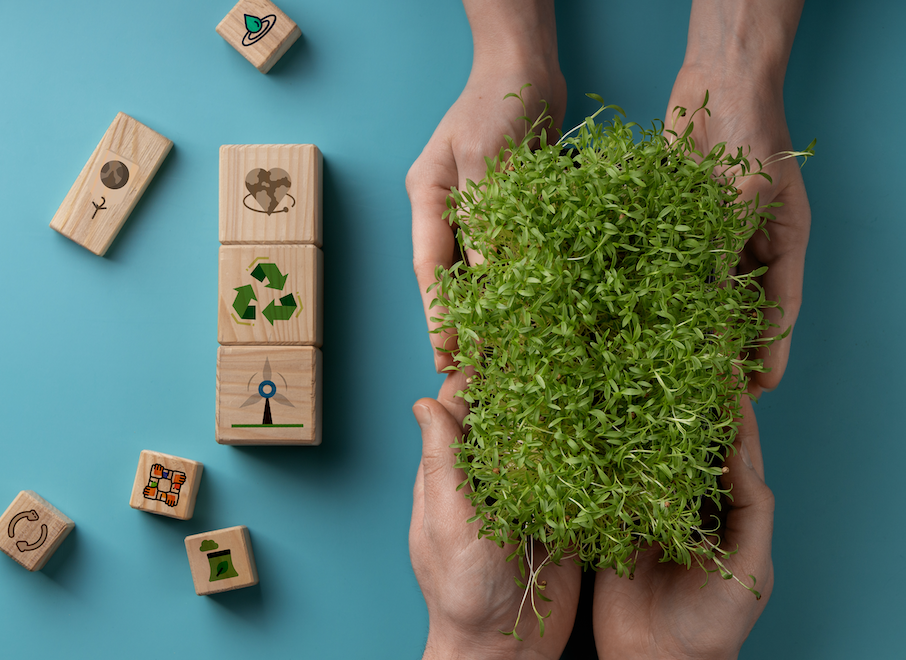 소셜 임팩트를 실현한 기업 사례